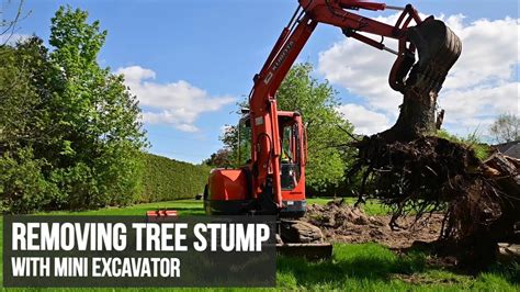 mini excavator dealing tree roots|mini tree removal machine.